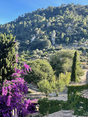 Landscape Spain Mallorca