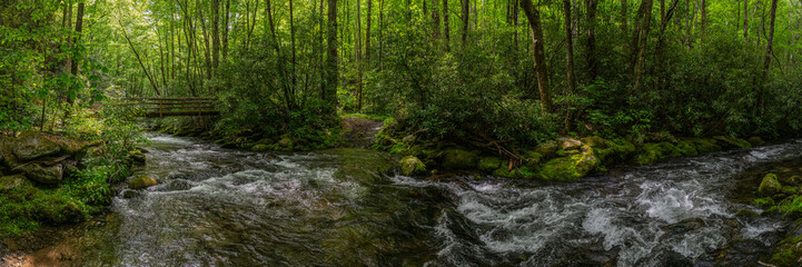 Obraz premium Wooden Bridge Crosses The Deep Water Of Noland Creek In Great Smoky Mountains