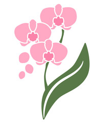 シンプルな胡蝶蘭のイラスト素材