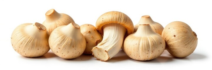 Fresh straw mushroom buds isolated on white background, earthy, rustic, fungus
