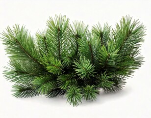 Obraz premium Green pine twigs, balls and garlands for Christmas top border isolated