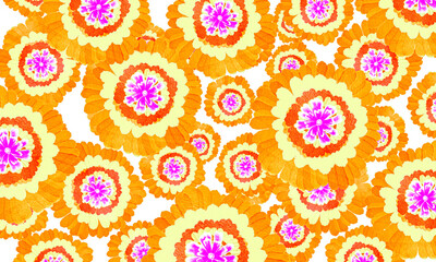 yellow  cosmos  flower pattern  wallpaper  background