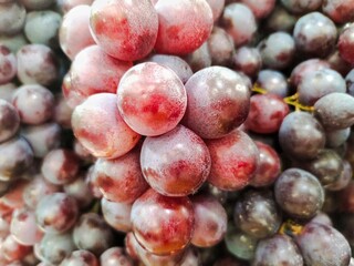 Group of fresh grapes or Vitis vinifera hanging in the fruit shop