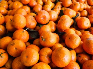 Santang oranges or small mandarin oranges are a type of orange that originated in China. They are small and have a sweet taste and fragrant aroma. Usually served for Chinese New Year.