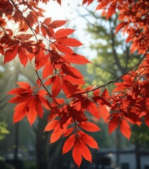 Red leaf foliage on a branch with sunlight filtering through the leaves, red leaf foliage, nature photography