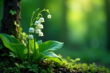 Lily of the valley stems entwined with ivy vines, climbing plants, lily, ivy