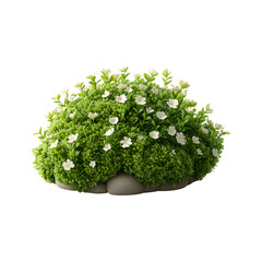 Fluffy 3D Cartoon Bush with White Flowers in Pot Isolated on Transparent Background