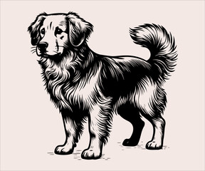 Vector image of a dog on a pink background. Drawing of a dog.
