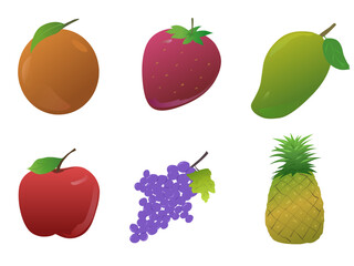 set of fruits type s11