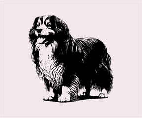 Vector image of a cocker spaniel in black and white.