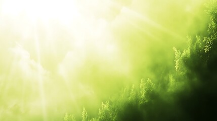 Obraz premium Sunlit Green Forest Mist Enchanting Scene