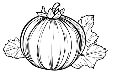 Drawing Gooseberry Fruit with Leaves