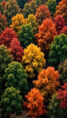Colorful foliage on deciduous trees during autumn, brown, green, trees