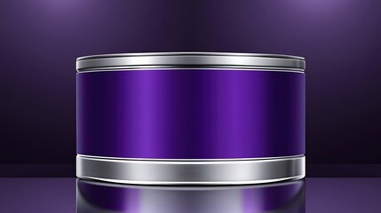 Elegant Purple Container With Silver Accents