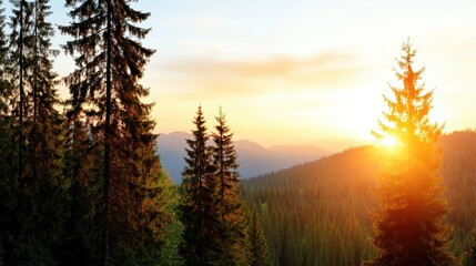 Majestic sunset over lush green mountains and tall pine trees