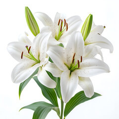 Fototapeta premium Elegant White Lily Bouquet with Delicate Petals and Vibrant Greenery in a Peaceful Floral Arrangement