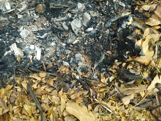 texture of the ground