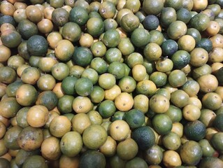 close up of green and blue oranges