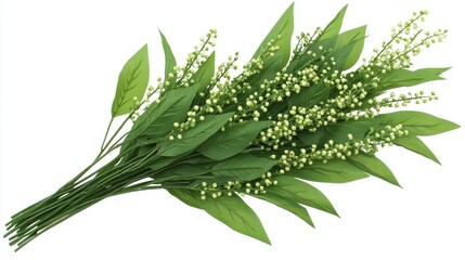Obraz premium Green Foliage with Delicate Berries on White Background for Decor