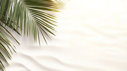 Palm leaves casting shadows on sandy beach background