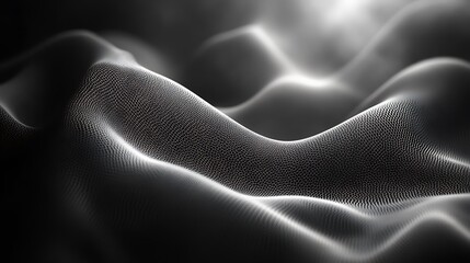 Abstract Black And White Wavy Mesh Surface Texture