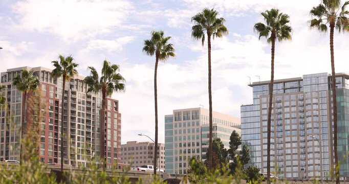 Palm framed view of the downtown skyline buildings of San Jose, California, USA.