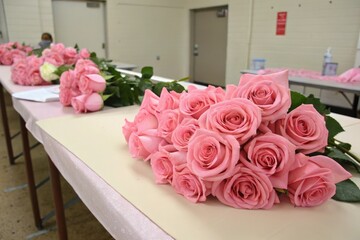 Pastel pink rose flowers on a table, spring flowers, pale pink roses