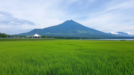 Fototapeta premium Lush Green Rice Paddy Field with Majestic Mountain Background