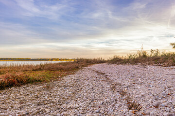 Beach of oyster shells by marsh