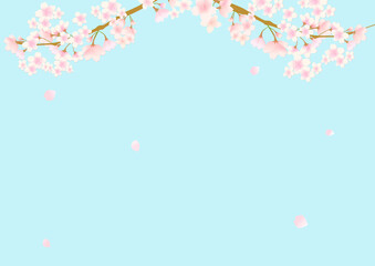 桜の花びら舞う春の背景フレーム