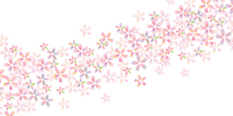 和柄　桜　春　背景