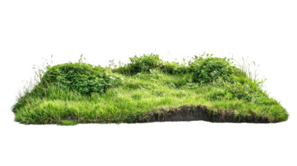 Green grass patch growing on dirt with transparent background