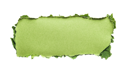 Green torn paper piece with transparent background for easy isolation