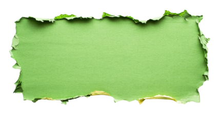 Green torn paper piece with transparent background creating copy space