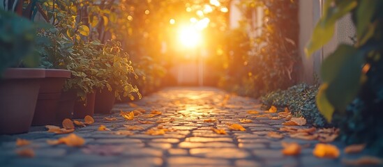 Sunset path, autumn leaves, garden backdrop