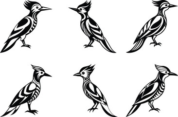 Premium quality Woodpecker set silhouette vector illustration, Woodpecker line art vector, Woodpecker vector icon design