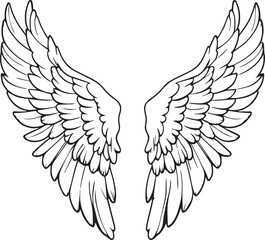 Obraz premium Elegant vector illustration of detailed stylized wings black silhouette on white background.