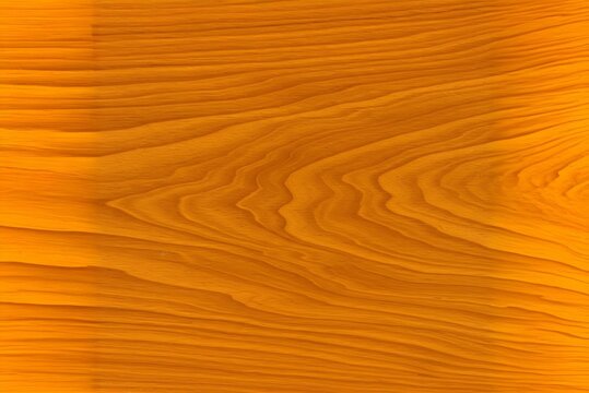 Exotic Narra Wood Texture &ndash; Beautiful Wooden Background for Design & Decor