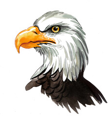 Eagle head. Hand drawn watercolour illustration