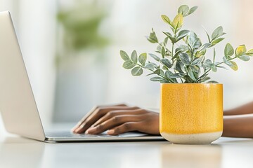 Person Typing on Laptop with Yellow Planter and Green Plant
