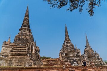 Fototapeta premium Wat Phra Si Sanphet in Ayutthaya Historical Park, Ayutthaya, Thailand.
