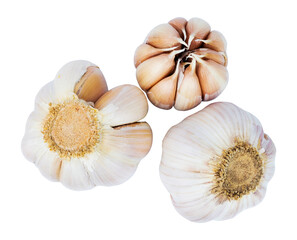 garlic isolated on white background
