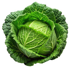 Obraz premium Fresh Green Cabbage, Isolated Vegetable - Clean Eating/Healthy Food