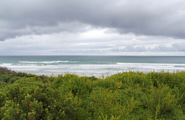 Coastal scene with the ocean and seaside vegetation under an overcast sky at Guvvos Beach on the Great Ocean Road in Victoria, Australia