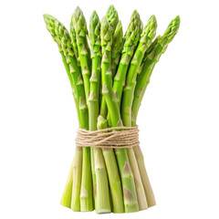 Fresh Green Asparagus Bundle Tied with Jute Twine on White Background