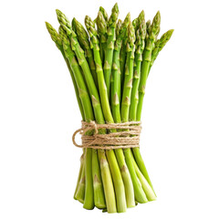 Fresh Asparagus Bundled with Natural Twine on White Background