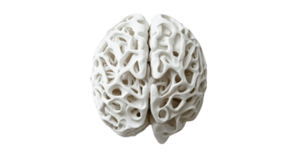 White artificial brain model with transparent background representing artificial intelligence and innovation