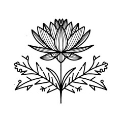 illustration of a flower