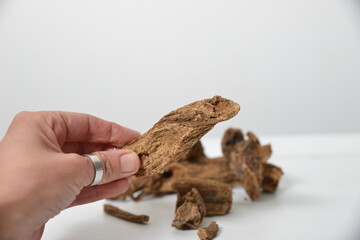 costus indien, bois de costus indien