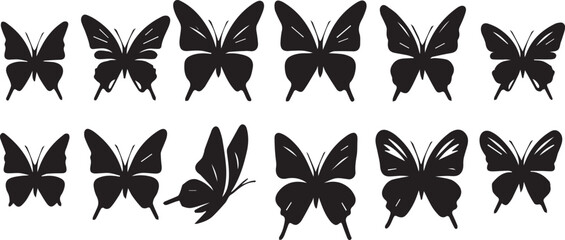 butterfly silhouetee